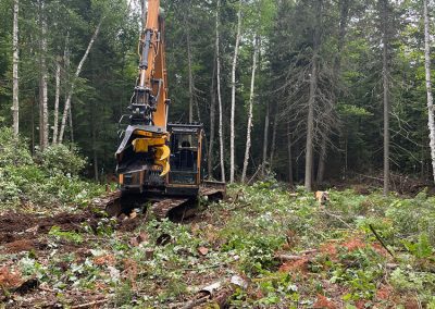 Service d'abattage d’arbre et coupe d'arbre dans la région de Lanaudière - Les Entrepises Marc Fontaine