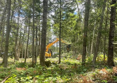 Abattage arbre en début de forêt - Service abattage arbre et coupe arbre dans Lanaudière et ses environs - Les entreprises Marc Fontaine