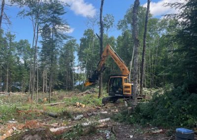 Abattage arbre sur un champ - Service abattage arbre et coupe arbre dans Lanaudière - Les entreprises Marc Fontaine